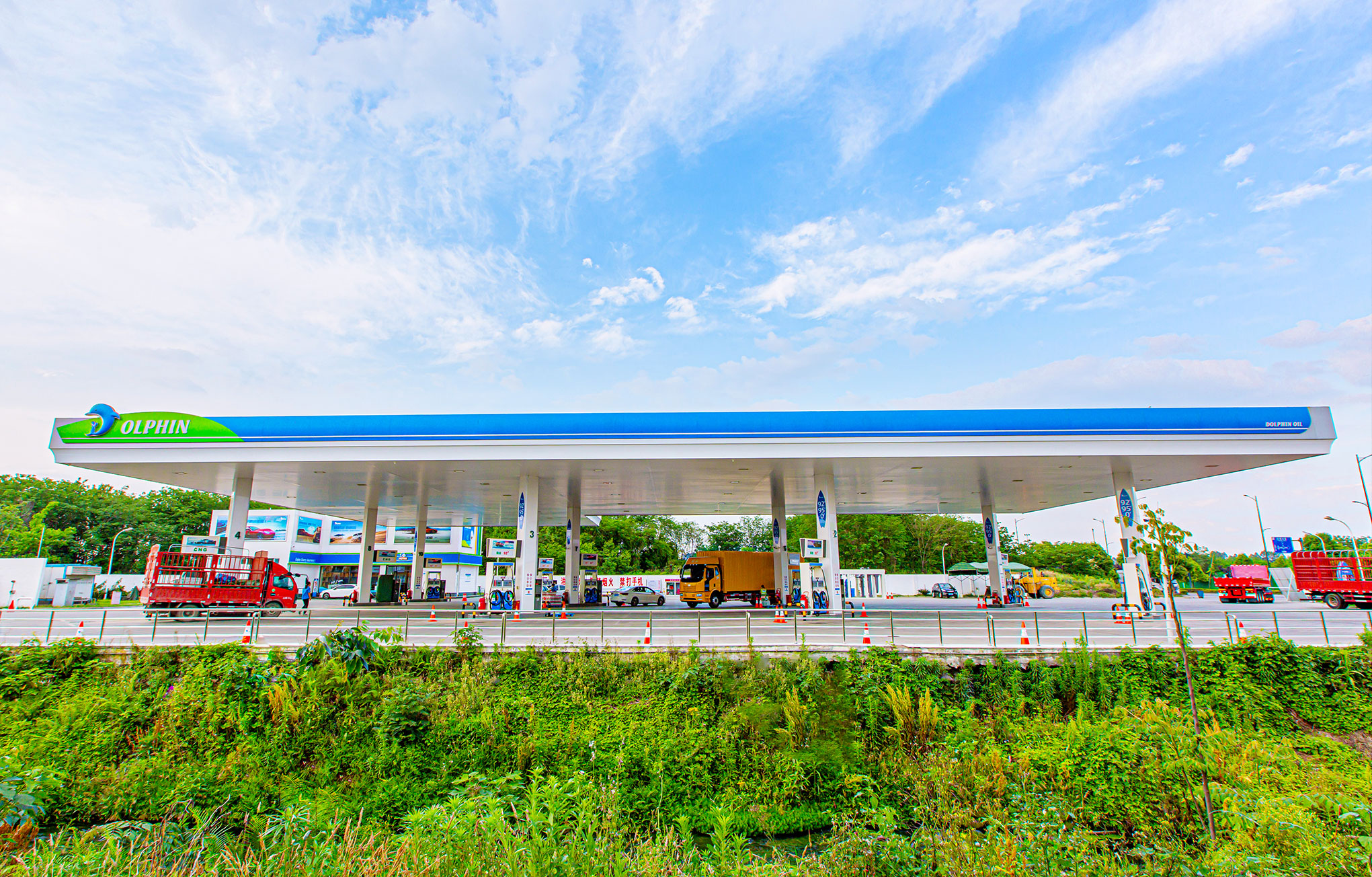 1641805154558947.jpg 1641805154558947.jpg