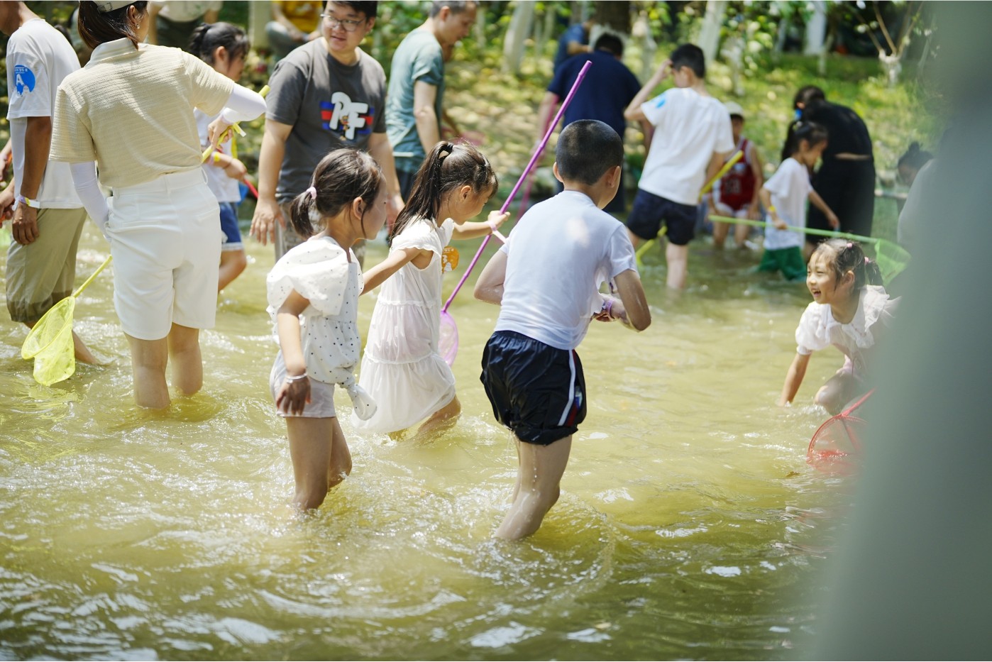 1717402693703772.jpg 10.jpg